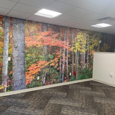 Wallpaper Hanging & Removal